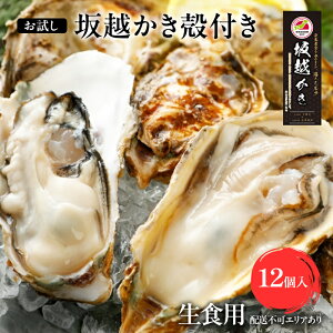 yӂ邳Ɣ[Łzy  z kty 12 REICX^[iCtt[ y  JL kt H l邵 ~y ] L CN C̍K 1Ny Z N[~[ @͂F