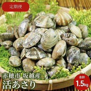 yӂ邳Ɣ[Łz2026N3{o׊Jny3A͂zɌ ԕs zY  1.5kg@͂F2026N3{`5{