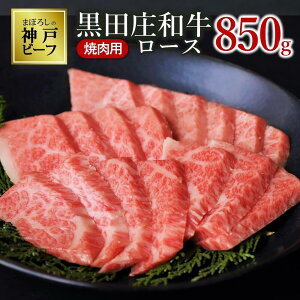yӂ邳Ɣ[ŁzyŒZ7cƓzy_˃r[tfzI caiēp[XF500g / 850gj  ē _ˋ es _ˋ _˃r[t ca ē BBQ a ~ An 