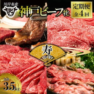 yӂ邳Ɣ[Łz_ˋ  yցz4ɕĂ͂ ґɐ_˃r[t\qrփR[Xiv3,520gj  󏭕 _ˋ  es   Mtg J ґ 
