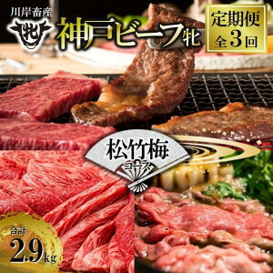 yӂ邳Ɣ[Łz_ˋ  yցz3ɕĂ͂q|~rփR[Xiv2,900gj  󏭕 _ˋ  es   Mtg J ґ j  ē