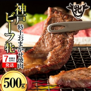 yӂ邳Ɣ[Łz7cƓȓy_ˋ āz ē ܂Zbg 500g ݖq  Ԑg _ˋ  es   Mtg J ґ j  ē BBQ ㎿  