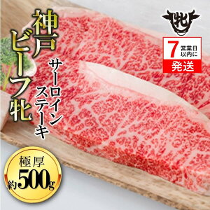 yӂ邳Ɣ[Łzy_ˋ āz ɌT[CXe[L2 500g yⓀEԌizXe[L  Ԑg _ˋ _˃r[t    Mtg J ґ j  