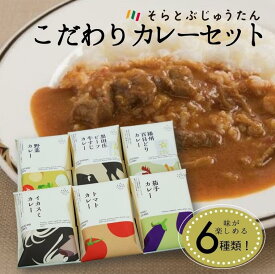 【ふるさと納税】ひょうごの食材こだわりカレーセット6種《そらとぶじゅうたん》 カレー レトルト カレーライス レトルトカレー カレーの日