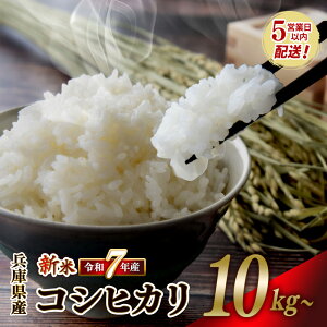yӂ邳Ɣ[ŁzyXs[hzVāyߘa7NY RVqJz10kg / 20kg / 30kg     Y ɌY Yn Y Iׂ  Ђ