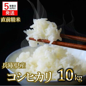 yӂ邳Ɣ[ŁzyXs[hzyʌzRVqJ 10kg     Y ɌY Yn Y Iׂ  Ђ