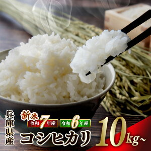 yӂ邳Ɣ[ŁzyXs[hzRVqJyƌvIߘa6NYzyVāIߘa7NY zyցzIׂ 10kg / 20kg / 30kg     Y ɌY Yn Y  Ђ