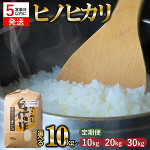 yӂ邳Ɣ[ŁzyXs[hzyցz ߘa7NY qmqJ  Iׂe 10kg 20kg 30kg   ɌY Ђ̂Ђ qmqJ |  b` H Â  ʌ