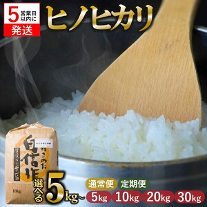 yӂ邳Ɣ[ŁzyXs[hzyցz ߘa7NY qmqJ  Iׂe 5kg 10kg 20kg 30kg   ɌY Ђ̂Ђ qmqJ |  b` H Â  ʌ