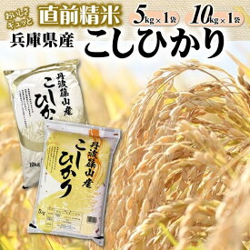 【ふるさと納税】【コシヒカリ】白米 選べる 5kg 10kg 令和7年産 R7年産 2025年産 【城口商店】むすび亭 米問屋 精米 お米 こめ コメ コシヒカリ こしひかり 人気 兵庫県産 直前精米