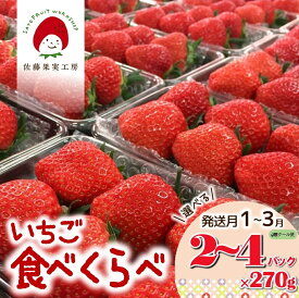 【ふるさと納税】《2026年産先行予約》3品種「旬のいちご食べ比べセット」選べる 2P 3P 4P 発送月1月 2月 3月～佐藤果実工房の西脇市産いちご～【TVで紹介 3年連続全国いちご選手権銀賞受賞農園】