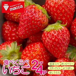 yӂ邳Ɣ[Łz_ƒŐVNIuesYHׂ׃Zbgv`macca`