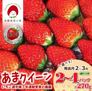 yӂ邳Ɣ[Łzs2026NYs\tuesY ʎH[̂܃NC[vIׂ 2P 3P 4P  2 3ySI茠܎܁z