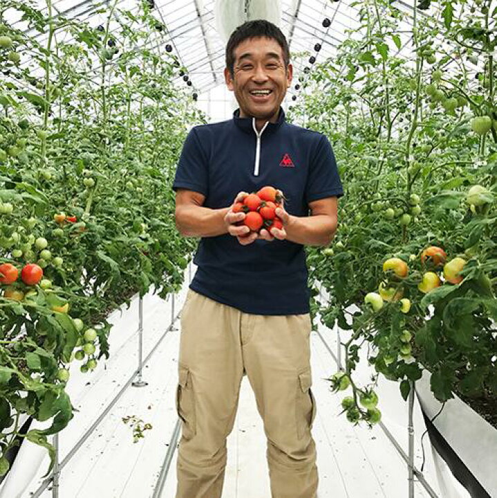 楽天市場 ふるさと納税 爽やか旨味トマトジュース 2本セット 各1 000ml 兵庫県西脇市