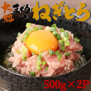 yӂ邳Ɣ[ŁzyuԗⓀőNxL[vzVR}O 嗱lMg 1kg i500g×2Pj o`}O Ln_}O ˂Ƃ ˂g ܂  ܂낽  嗱