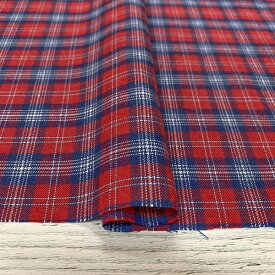 【ふるさと納税】播州織生地1m「コットン混ネル　チェック（50061）」日本製