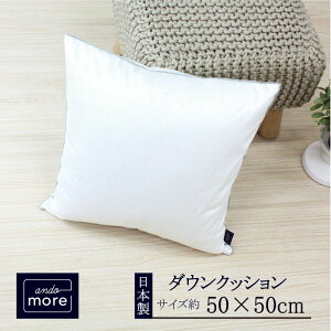 【ふるさと納税】【ando more】日本製ダウンクッション(50×50cm)