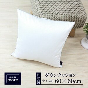 【ふるさと納税】【ando more】日本製ダウンクッション(60×60cm)