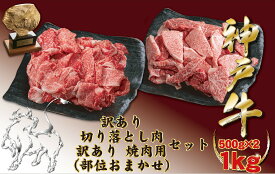 神戸牛(神戸ビーフ) 訳あり切り落とし肉と焼肉用（不揃い）セット 500gずつ 計1kg