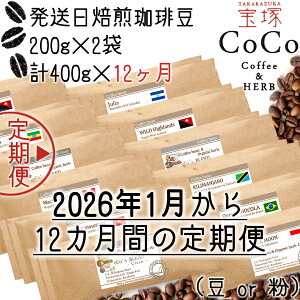 yӂ邳Ɣ[Łzyˁz12̒ցi蓤ES12ށjy2026N1zX^[gz