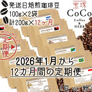 yӂ邳Ɣ[Łzyˁz12̒ցi蓤ES12jminiy2026N1zX^[gz