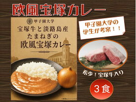 【ふるさと納税】【甲子園大学・学生考案】宝塚牛と淡路島産玉ねぎの欧風宝塚カレー（3食セット）