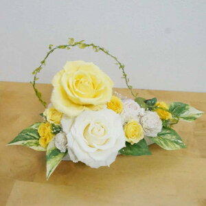 yӂ邳Ɣ[ŁzvU[uht[@傫ȃo̕30cmAW vU[uht[ 傫ȃo t[AWg 30cmAW sv   CeAt[