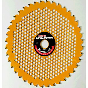 yӂ邳Ɣ[Łziyʃ`bv\[ɒau߂Ⴉ EVOLUTIONiG{[Vjv