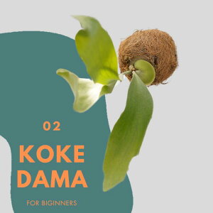 yӂ邳Ɣ[ŁzrJNV_iREjۋ lU[h