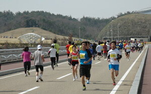 yӂ邳Ɣ[Łz݂ӂꂠ}\oꌠ