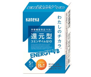 yӂ邳Ɣ[ŁzҌ^RGUCQ10 킽̃`J  ENERGY VBiGiW[ uCr[j360i120jyTvg NHi XgXɘaɌ Tvg s z
