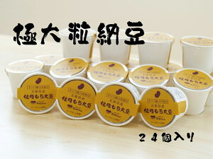 yӂ邳Ɣ[ŁzÂ[uȂƂv@p哤@24