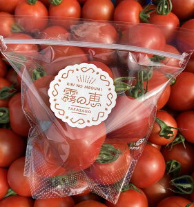 yӂ邳Ɣ[Łžb(~fBg}g) 200g×5 y Ɍ s z