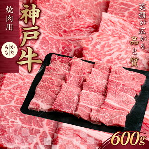 yӂ邳Ɣ[Łz_ˋ(_˃r[t) ēp 600g KNY2 ӂ邳Ɣ[  uha Y a _ˋ _˃r[t ē o[xL[   c Ɍ _ 쐼 쐼s KWNCJ004
