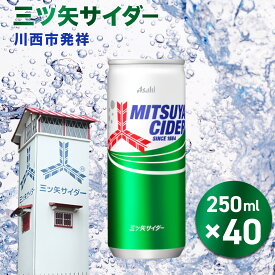 【ふるさと納税】三ツ矢サイダー缶250ml 40本（20本入×2ケース）No.386 KWNQ003 ／ サイダー ジュース 炭酸 飲料 缶 まとめ買い ケース買い アサヒ 人気 定番 有名 送料無料 兵庫県 川西市