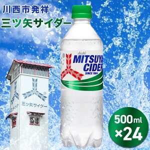 yӂ邳Ɣ[ŁzOcTC_[ PET 500ml 24{i1P[XjNo.384 KWNQ001 ^ TC_[ W[X Y_  ybg{g ܂Ƃߔ P[X PET ATq lC  L  Ɍ 쐼s