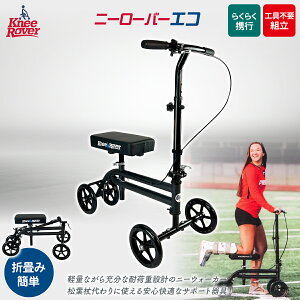 yӂ邳Ɣ[Łz[[o[GR yӂ邳Ɣ[ j[[o[ t  p ܏ Ɍ 쐼s z KWNDD008