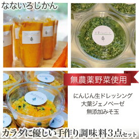 【ふるさと納税】No.025 カラダに優しい（無農薬野菜使用）手作り調味料3点セット ／ 無添加 にんじん生ドレッシング 大葉ジェノベーゼ みそ玉 味噌 送料無料 兵庫県