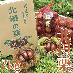 yӂ邳Ɣ[Łzss\t ʌ kیI}CX^[Ă 쐼YkیI  2kg y2025N11{z No.222 ^  H̖o { I Hו kیI I lC a Mtg v[