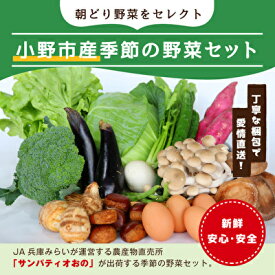 【ふるさと納税】小野市産季節の野菜セット！　【野菜類 セット 詰合せ】