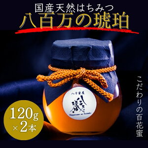 yӂ邳Ɣ[ŁzI S(YVR݂͂)120g×2{(v240g)[ ݂͂ n`~c Y SԖ ] HHi