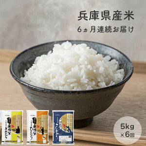 yӂ邳Ɣ[Łzy6A͂zĐlꉟIɌY5kg×1 Hה   RVqJ qmqJ LkqJ 6 6