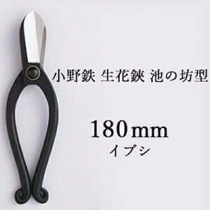 yӂ邳Ɣ[ŁzS  r̖V^ 180mm CuV G pi A nT~ ͂
