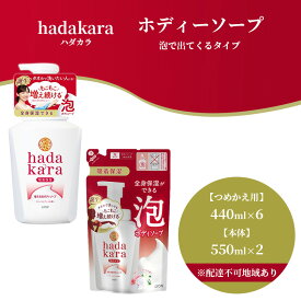 【ふるさと納税】hadakara ( ハダカラ ) オリジナルセット 泡タイプ《本体×2本、つめかえ用×6袋》[ ライオン LION ボディソープ ]　【石鹸 液体せっけん つめかえ用 本体 ボディーソープ ハダカラ 保湿成分 泡タイプ】