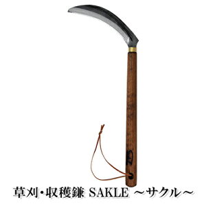 yӂ邳Ɣ[Łz En Sakle `TN` G pi