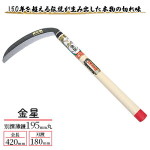 yӂ邳Ɣ[Łz ʐ195mmہu100057v[ | |p   ] |pi |ObY K[fjOpi 葢b@ ؂ꖡǂ nǂ _炩p {̐؂ꖡ