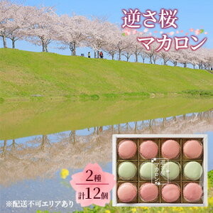 yӂ邳Ɣ[Łzt }J 2 Hה v12[ XC[c mَq ĉَq ] َq  eB[^C ̃}J 疡 ̗tЂ p Mtg yY p