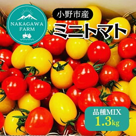 【ふるさと納税】ミニトマト 品種 MIX 1.3kg[ トマト 有機質肥料 ]　【 野菜 食材 国産 国産野菜 緑黄色野菜 サラダ 付け合わせ 】