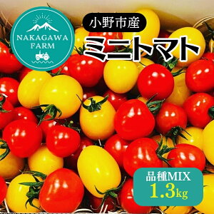 yӂ邳Ɣ[Łz~jg}g i MIX 1.3kg[ g}g L@엿 ]  H Y Y ΉF T_ t킹 @͂FnoA