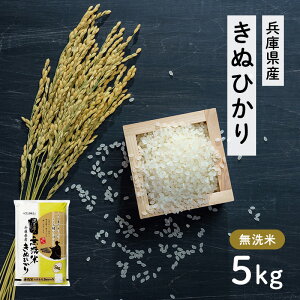 yӂ邳Ɣ[ŁzɌY LkqJ  5kg [    ʂЂ Ɍ s ]    Ԃ炸  P  S ς Â ٓ